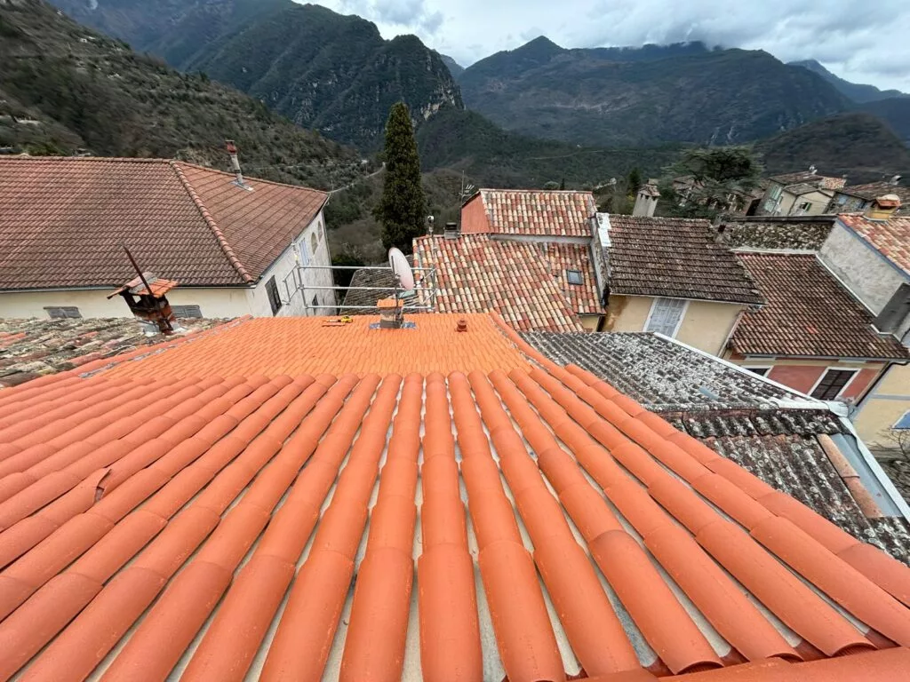 Démoussage de toiture à Vouvry